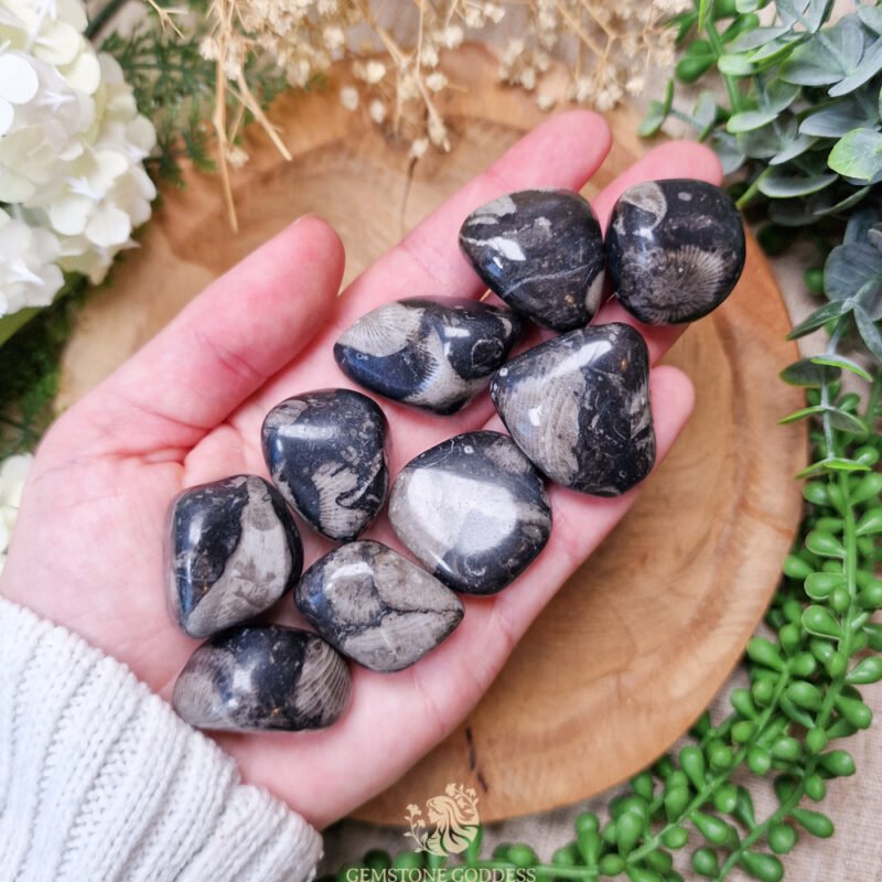 frosterley-marble-kristal-edelsteen