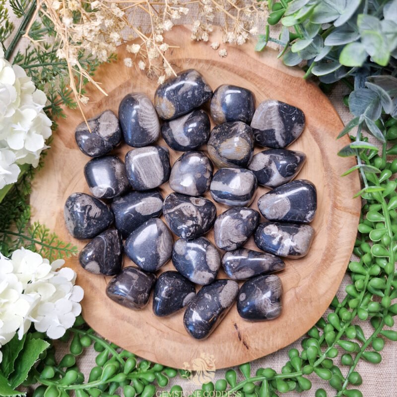 frosterley-marble-trommelsteen-edelsteen