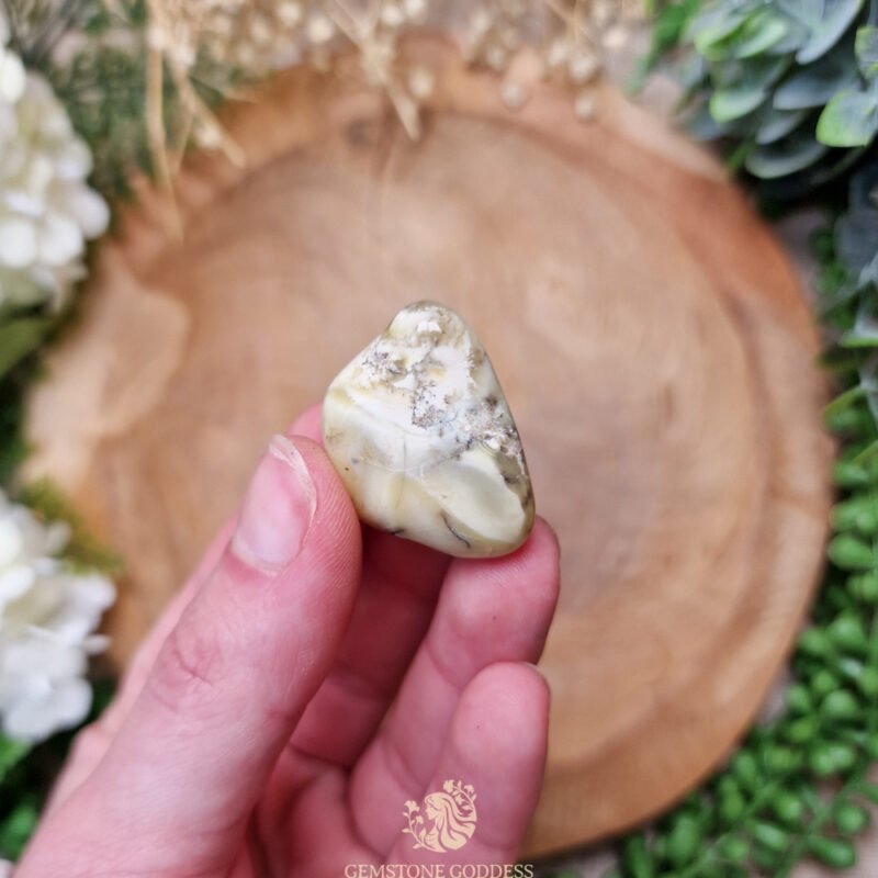 gele-dendriet-opaal-getrommelde-steen-edelsteen