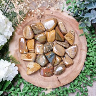 Owyhee Jaspis Trommelsteen