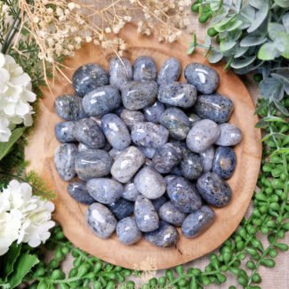 Pitaya Kwarts Trommelsteen