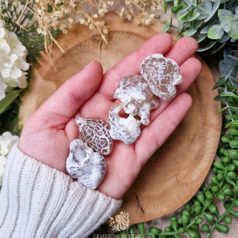 slangenhuid-agaat-knuffelsteen