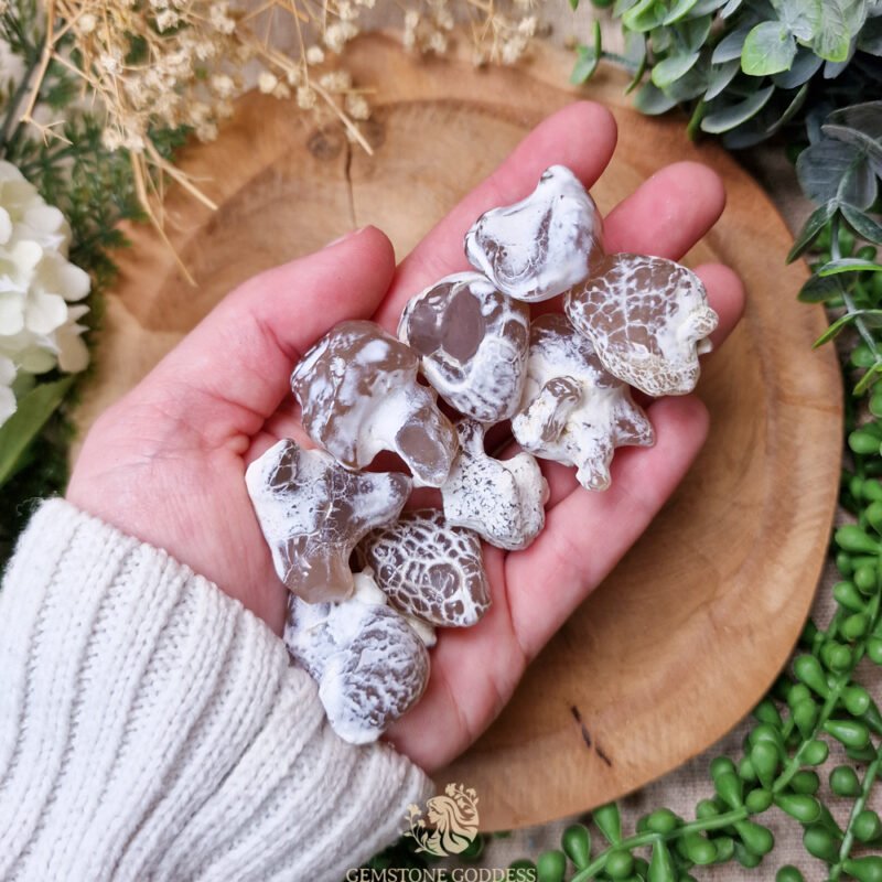 slangenhuid-agaat-kristal