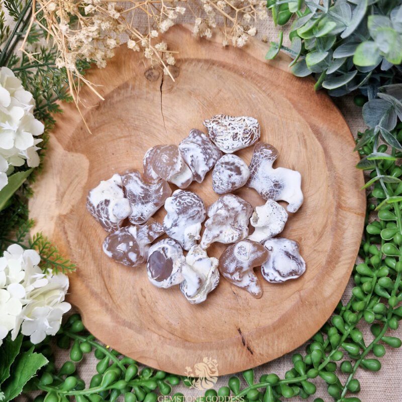 slangenhuid-agaat-trommelsteen