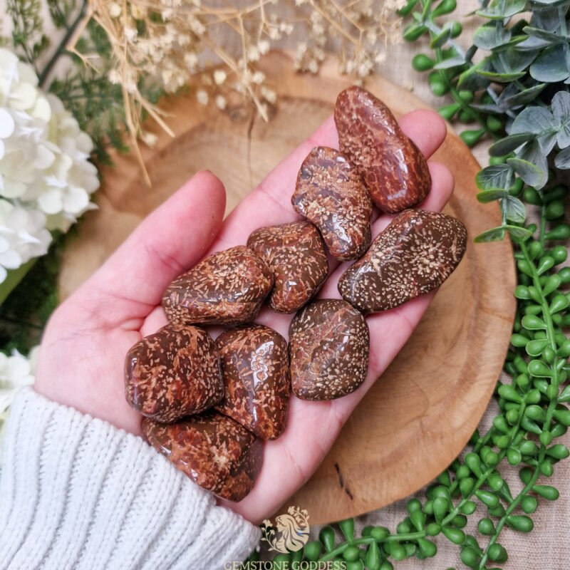 ster-jaspis-kristal-edelsteen