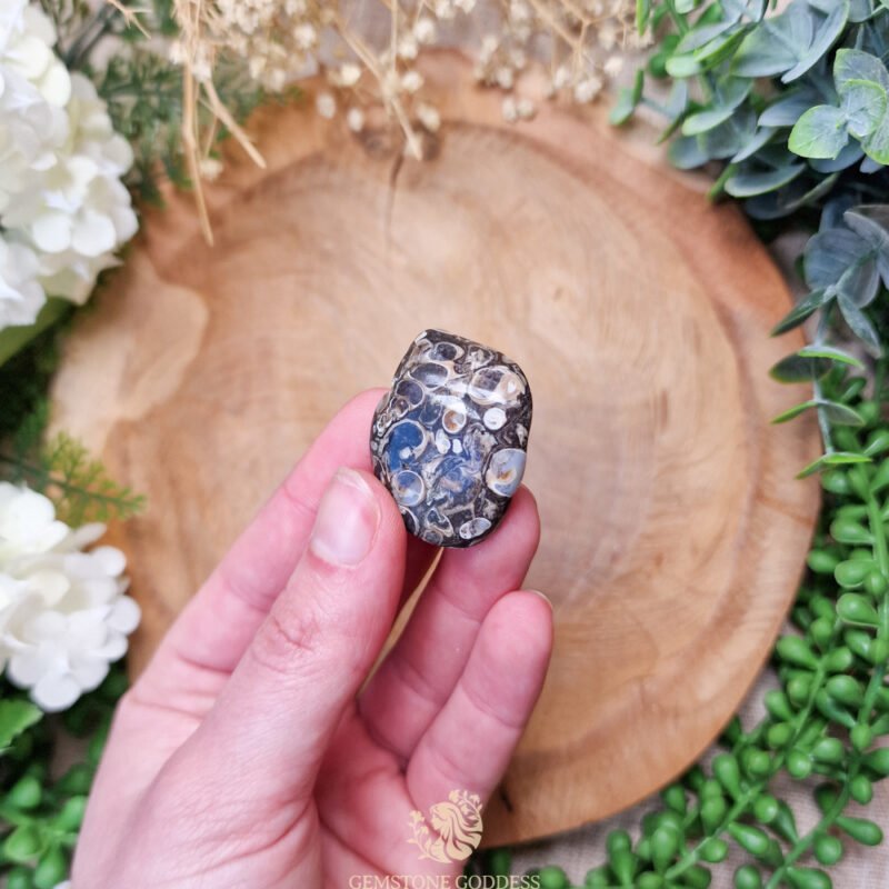 turitella-agaat-getrommelde-steen-edelsteen