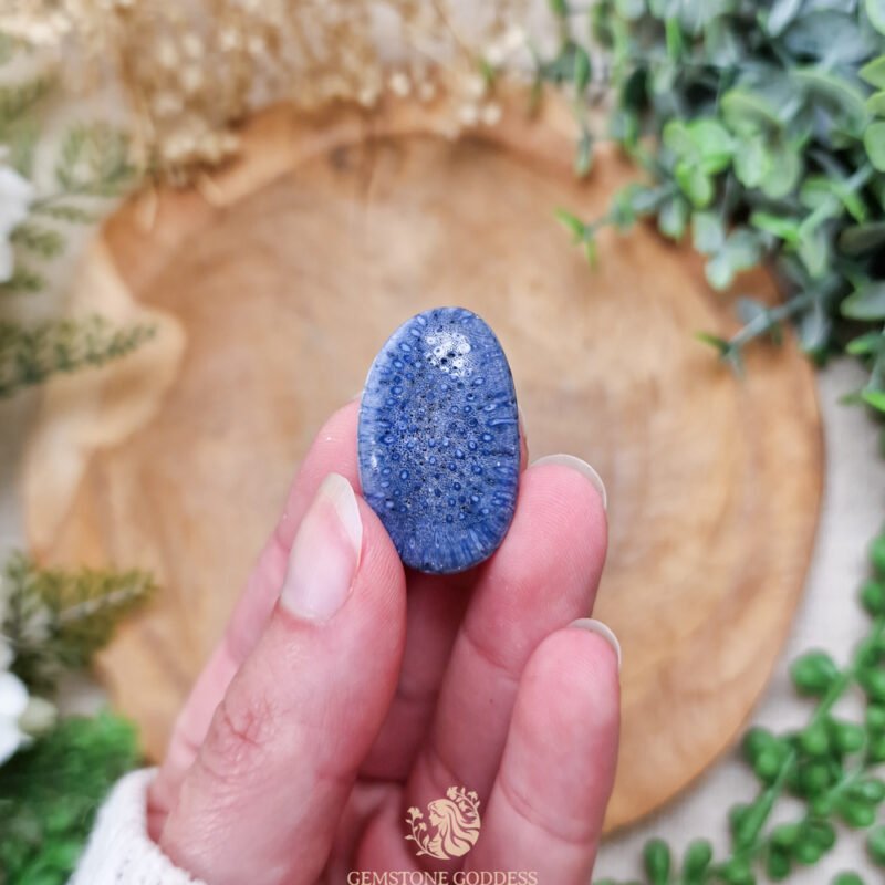 blauw-fossiel-koraal-getrommelde-steen-edelsteen