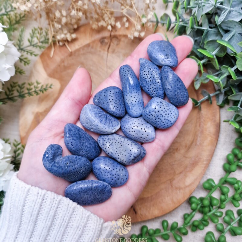 blauw-fossiel-koraal-kristal-edelsteen