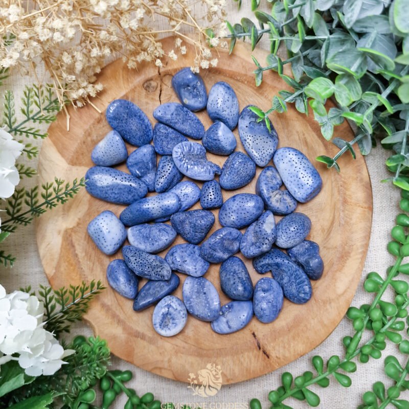 blauw-fossiel-koraal-trommelsteen-edelsteen