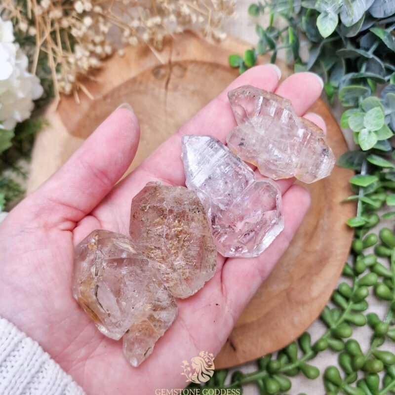 fadenkwarts-ruwe-brok