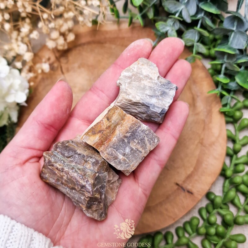 versteend-hout-ruwe-brok