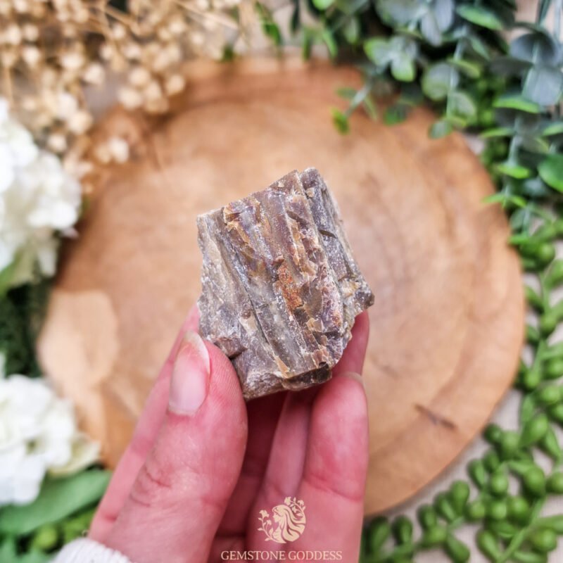 versteend-hout-ruwe-edelsteen