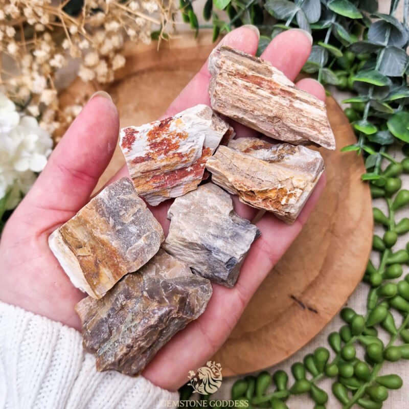 versteend-hout-ruwe-steen