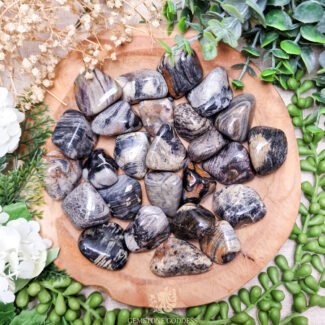 Zilverblad Jaspis Trommelsteen